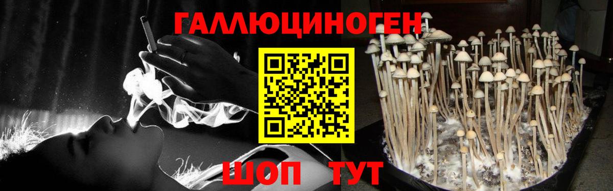 Качканар  Галлюциногенные грибы Magic Shrooms  Вход с VPN  Псилоцибиновые грибы Psilocybine cubensis 